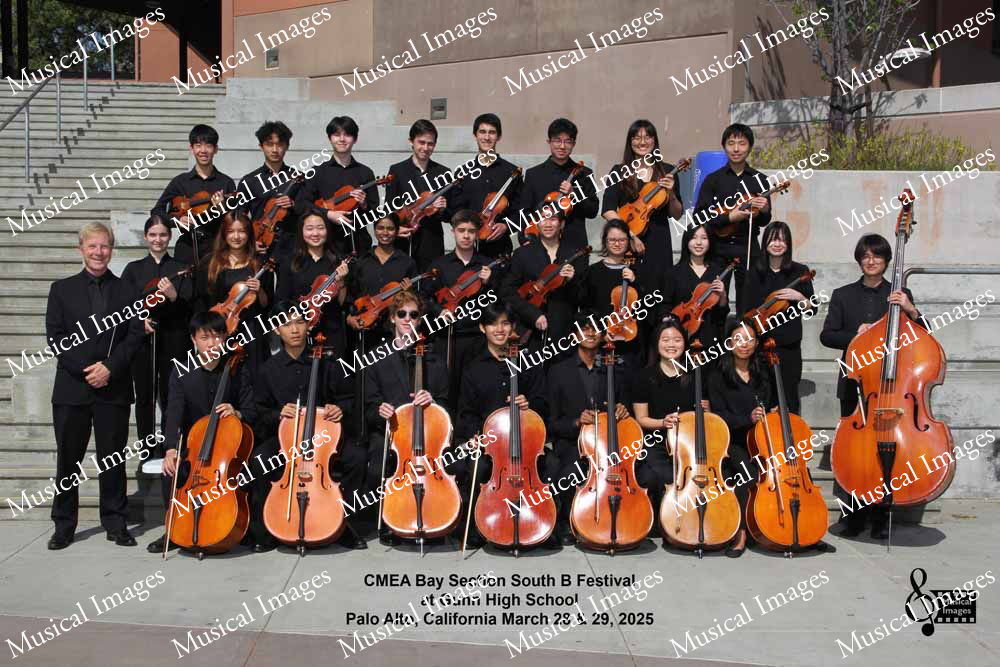 Musical Images